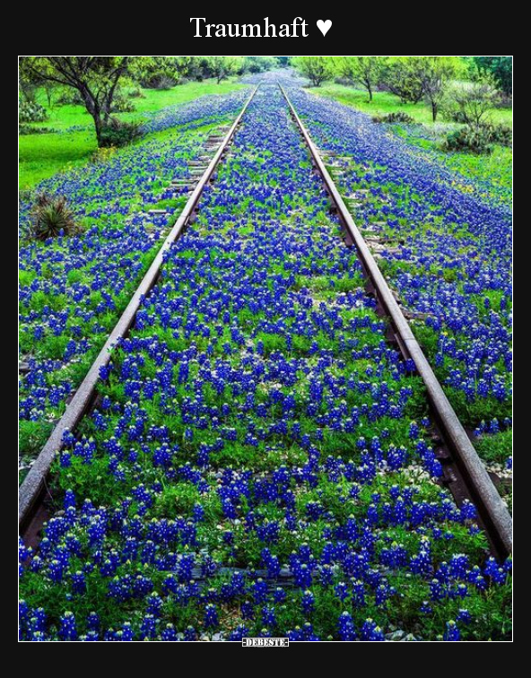Traumhaft ♥..