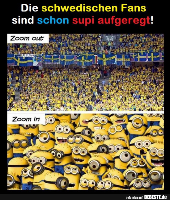 Die schwedische Fans sind schon supi aufgeregt! - Lustige Bilder | DEBESTE.de