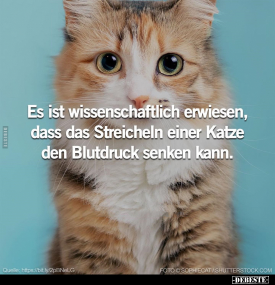 Es ist wissenschaftlich erwiesen.. - Lustige Bilder | DEBESTE.de