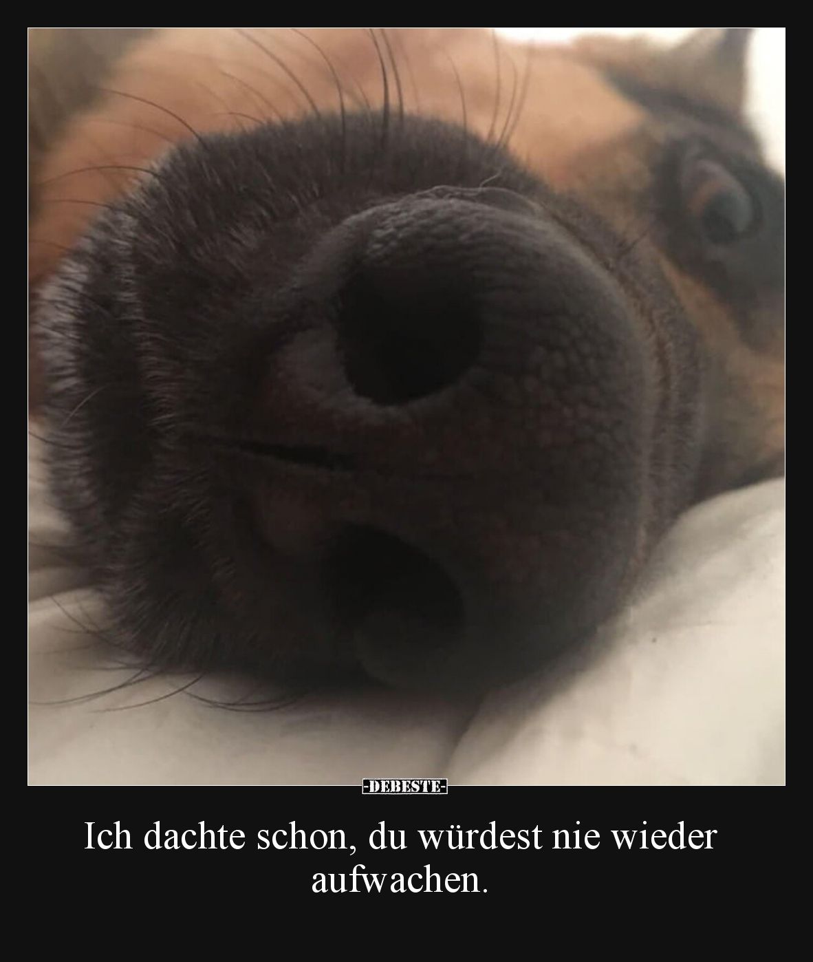 Ich dachte schon, du würdest nie wieder aufwachen.