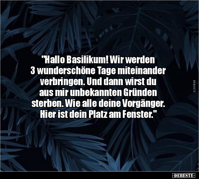 "Hallo Basilikum! Wir werden 3 wunderschöne Tage.." - Lustige Bilder | DEBESTE.de