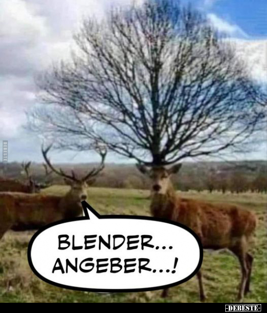 Blender... Angeber...! - Lustige Bilder | DEBESTE.de