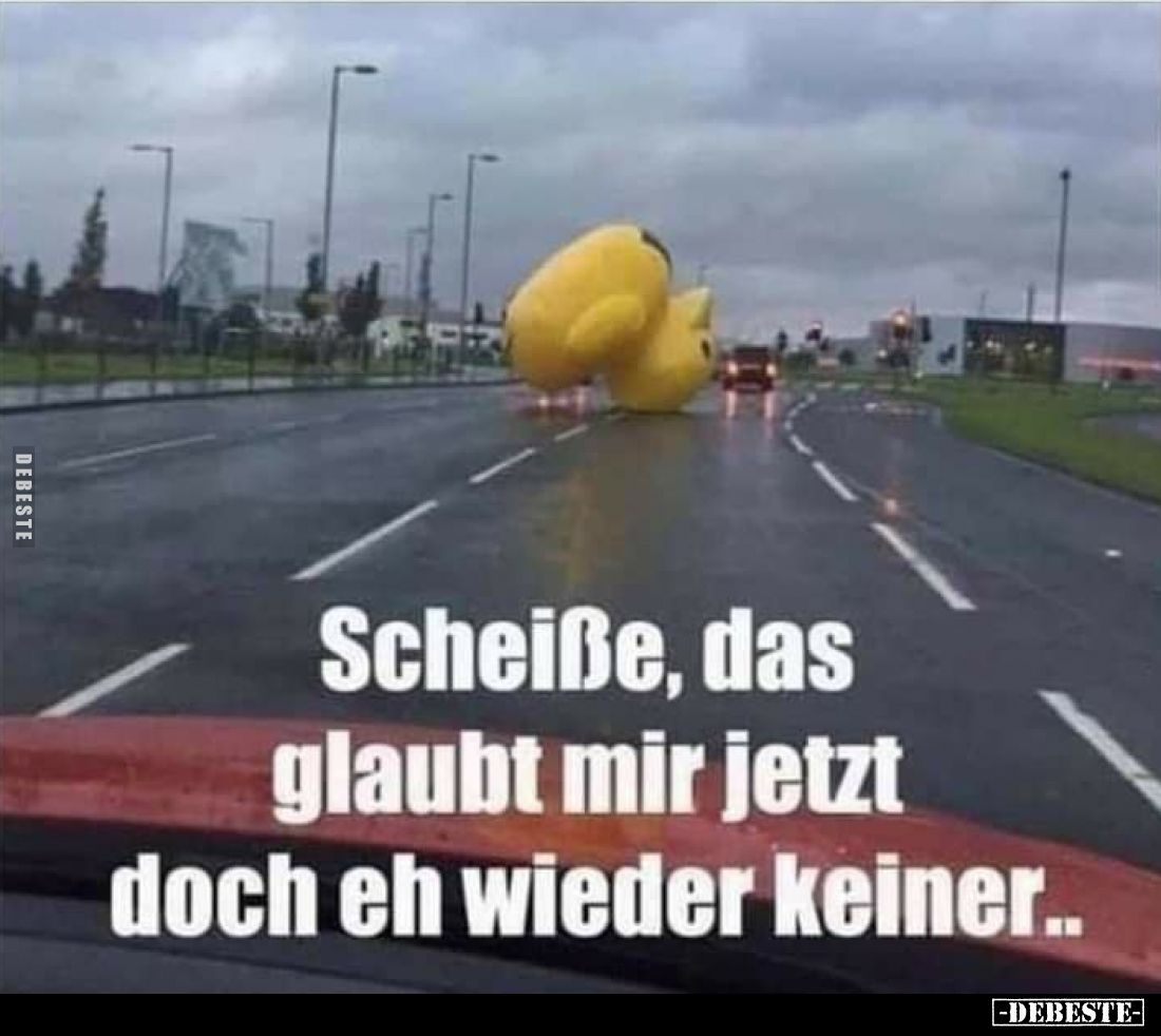 Schei*ße, das glaubt mir jetzt doch eh wieder keiner.. - Lustige Bilder | DEBESTE.de