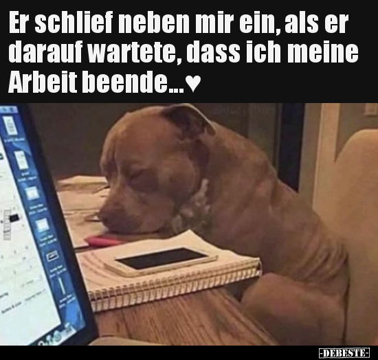 Er schlief neben mir ein, als er darauf wartete, dass ich..