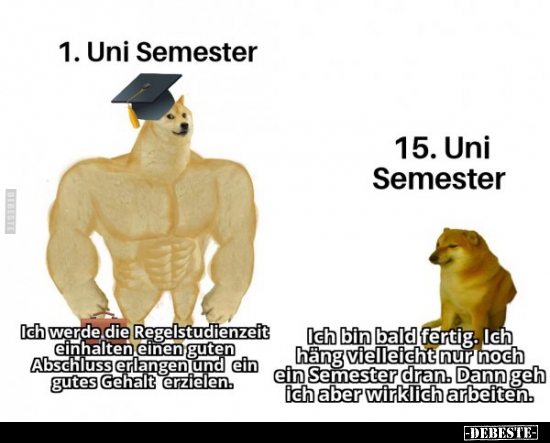 1. Uni Semester vs. 15. Uni Semester..