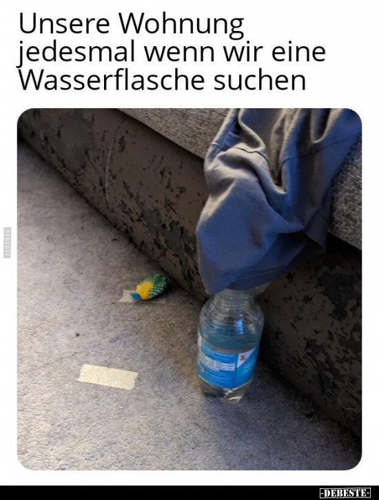 Unsere Wohnung, jedesmal wenn wir eine Wasserflasche.. - Lustige Bilder | DEBESTE.de