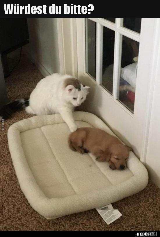 Würdest du bitte?..