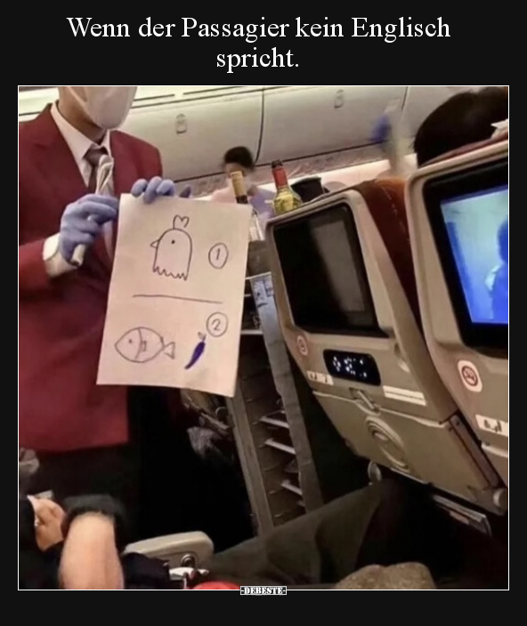 Wenn der Passagier kein Englisch spricht... - Lustige Bilder | DEBESTE.de