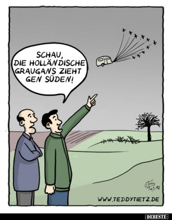 Schau, die holländische Graugans zieht Gen Süden!..