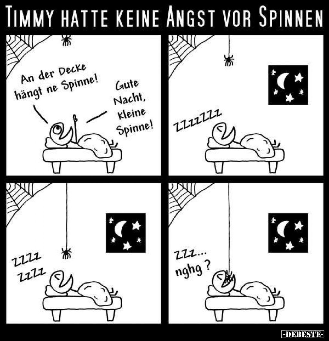 Timmy hatte keine Angst vor Spinnen. - An der Decke hängt ne Spinne!
Gute Nacht, Kleine Spinne!