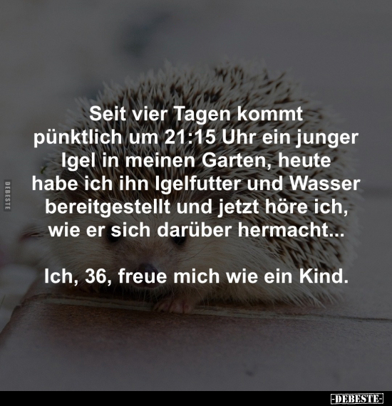 Seit vier Tagen kommt pünktlich um 21:15 Uhr ein junger.. - Lustige Bilder | DEBESTE.de