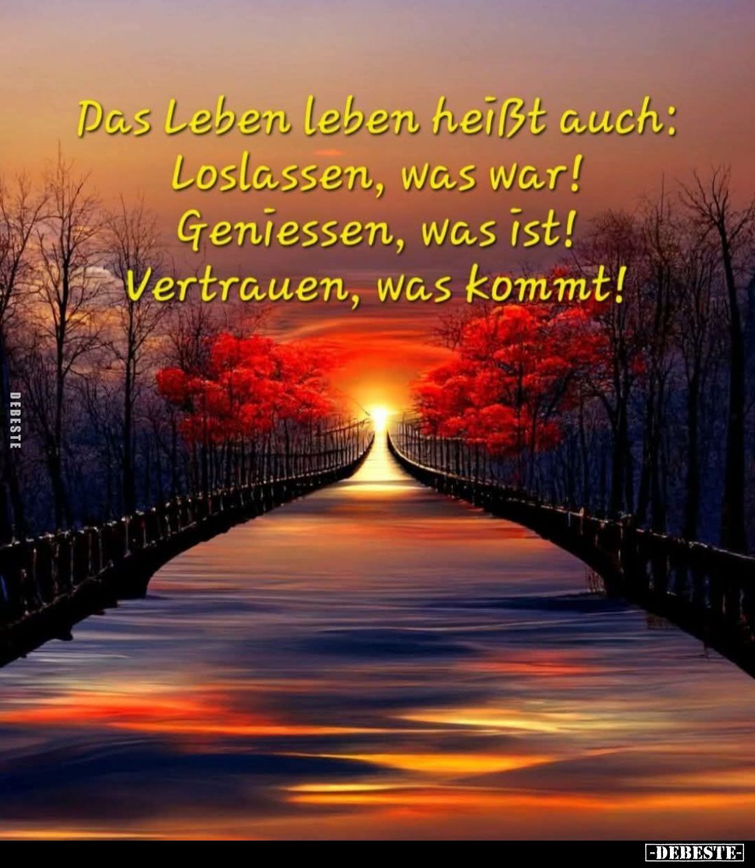 Das Leben leben heißt auch... - Lustige Bilder | DEBESTE.de