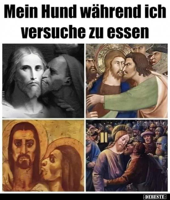 Mein Hund während ich versuche zu essen..