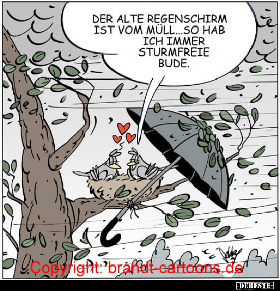 Der alte Regenschirm ist vom Müll... So hab ich immer.. - Lustige Bilder | DEBESTE.de