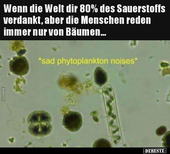 Wenn die Welt dir 80% des Sauerstoffs verdankt, aber die..