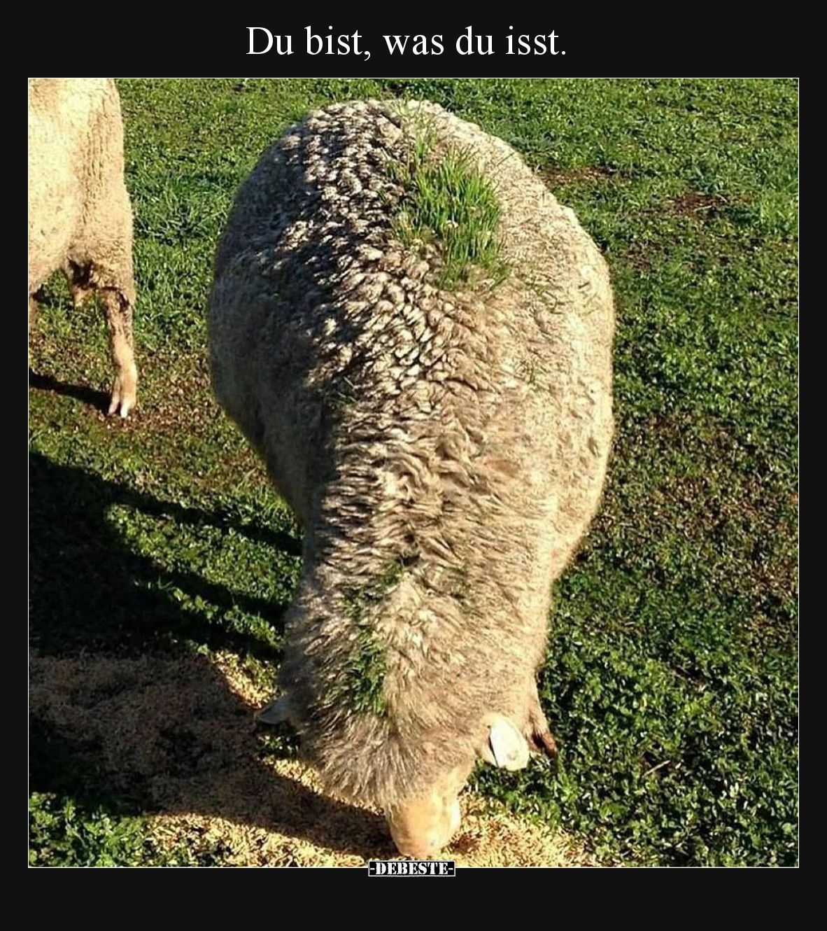 Du bist, was du isst.