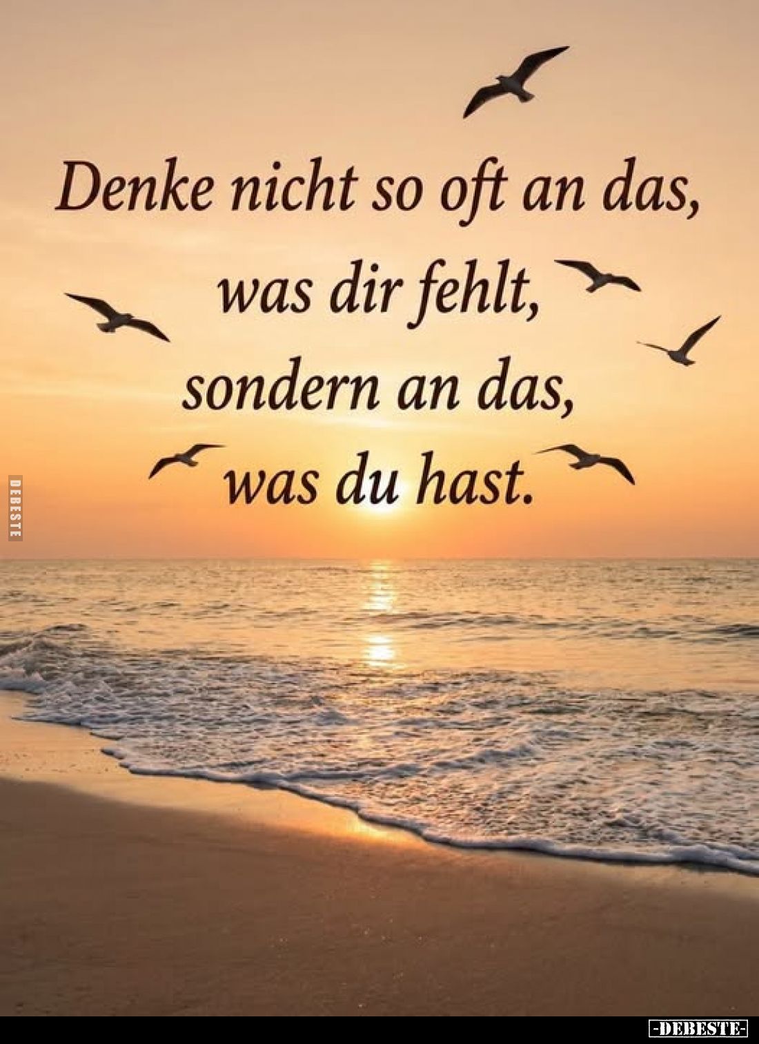 Denke nicht so oft an das, was dir fehlt, sondern an das, was du hast.