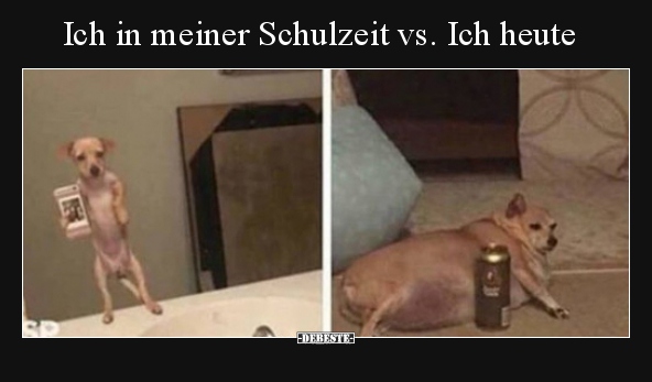 Ich in meiner Schulzeit vs. Ich heute..
