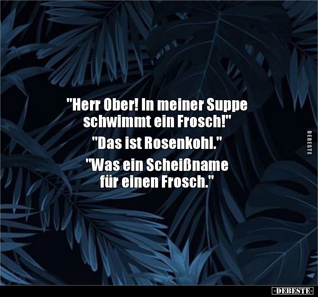 "Herr Ober! In meiner Suppe schwimmt ein Frosch!".. - Lustige Bilder | DEBESTE.de