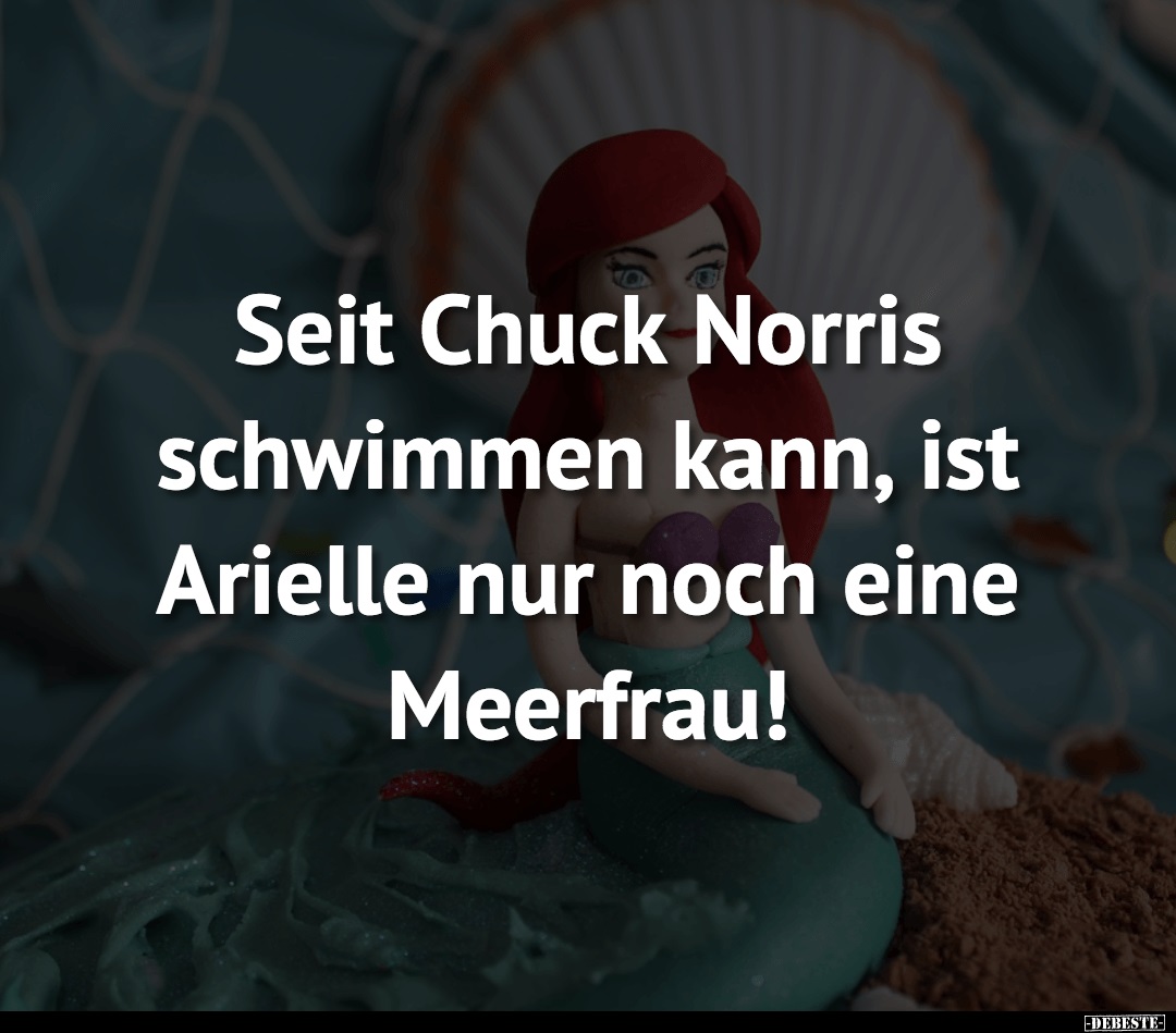 Seitdem Chuck Norris schwimmen kann, ist Arielle nur noch.. - Lustige Bilder | DEBESTE.de