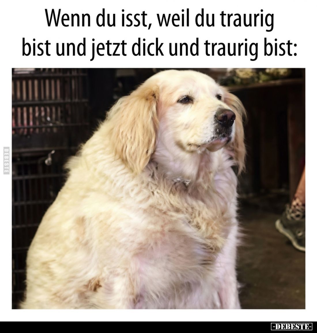 Wenn du isst, weil du traurig bist und jetzt dick und.. - Lustige Bilder | DEBESTE.de