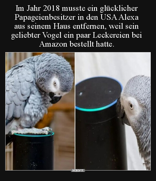 Im Jahr 2018 musste ein glücklicher Papageienbesitzer in.. - Lustige Bilder | DEBESTE.de