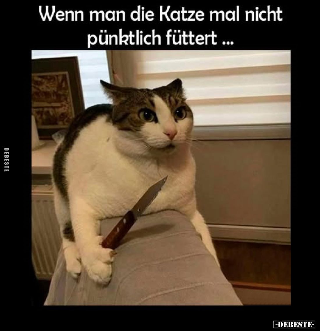 Wenn man die Katze mal nicht pünktlich füttert ...