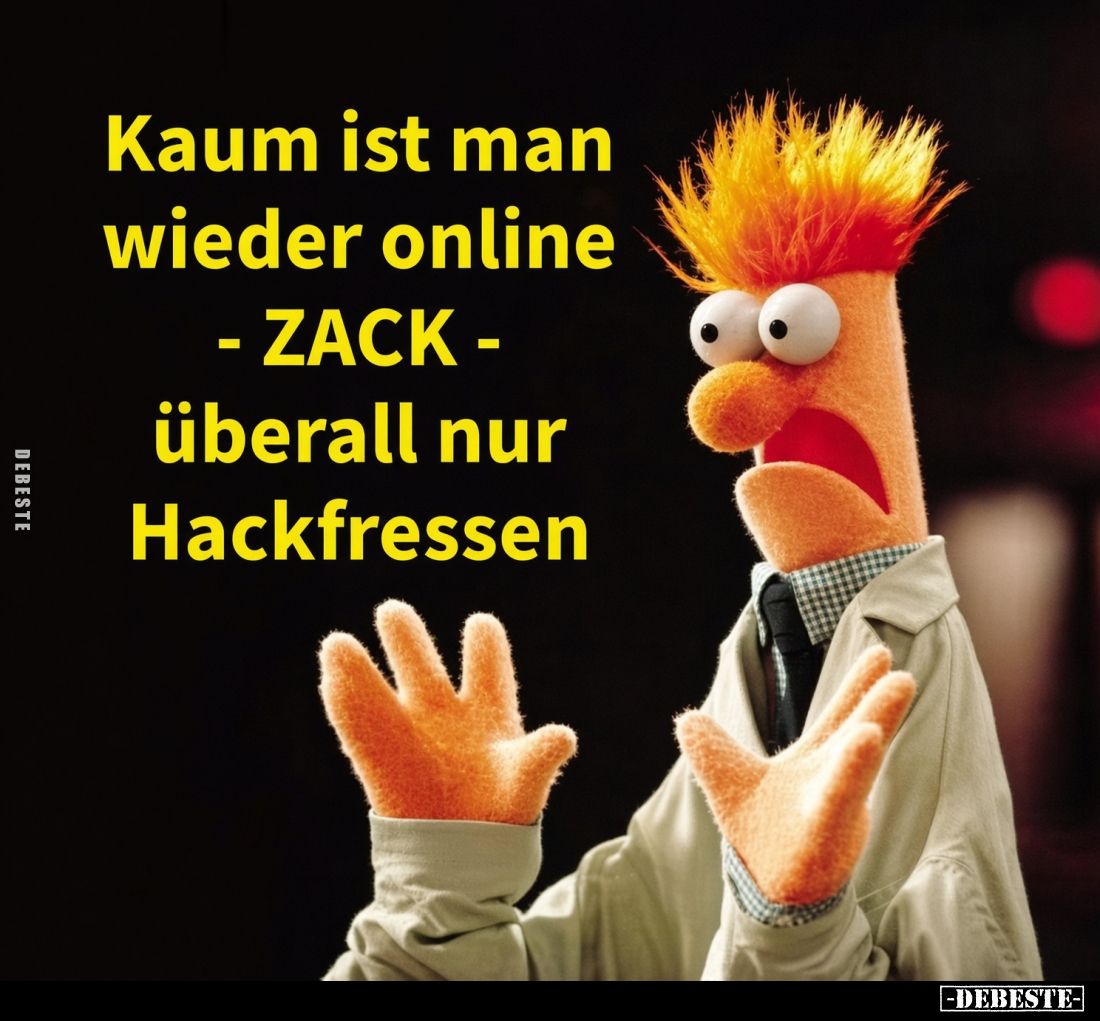 Kaum ist man wieder online - ZACK - überall nur Hackfressen