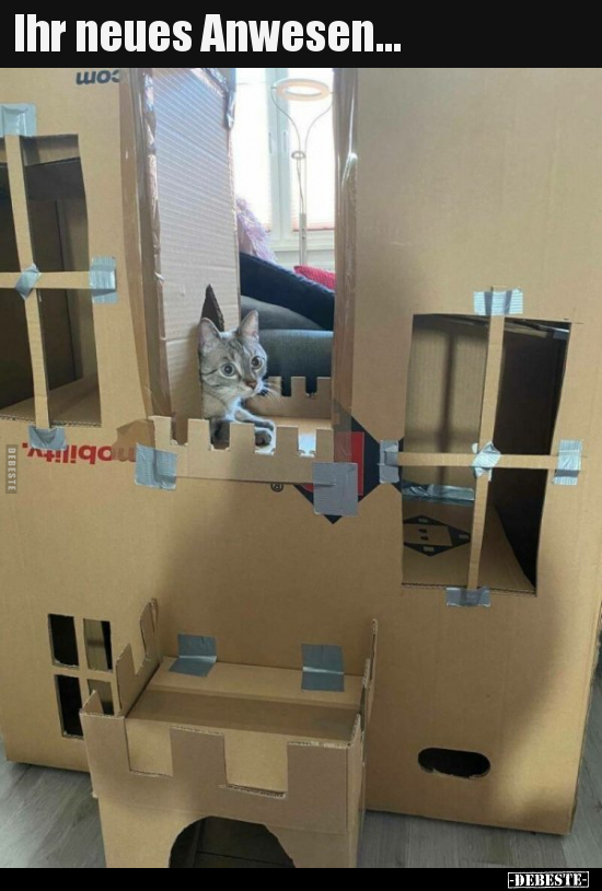 Ihr neues Anwesen...