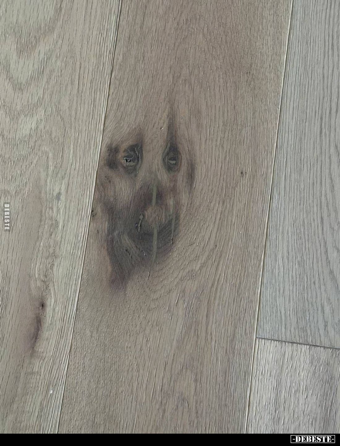  - Lustige Bilder | DEBESTE.de