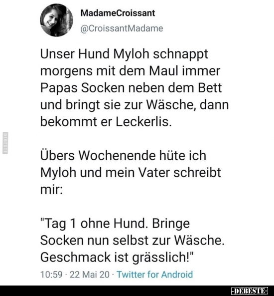 Unser Hund Myloh schnappt morgens mit dem Maul immer..