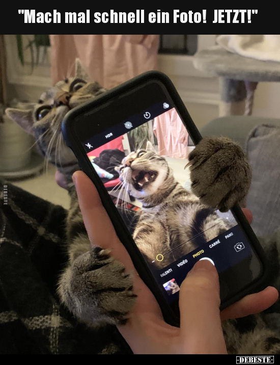 "Mach mal schnell ein Foto! JETZT!"..