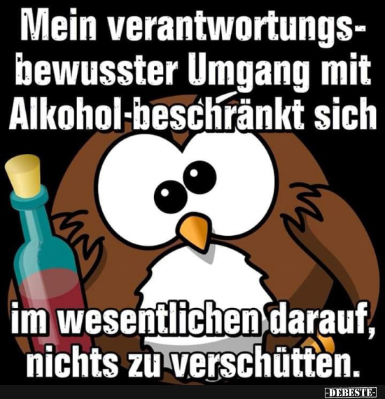 Mein verantwortungsbewusster Umgang mit Alkohol beschränkt.. - Lustige Bilder | DEBESTE.de