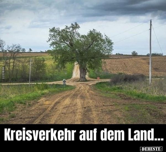 Kreisverkehr auf dem Land... - Lustige Bilder | DEBESTE.de