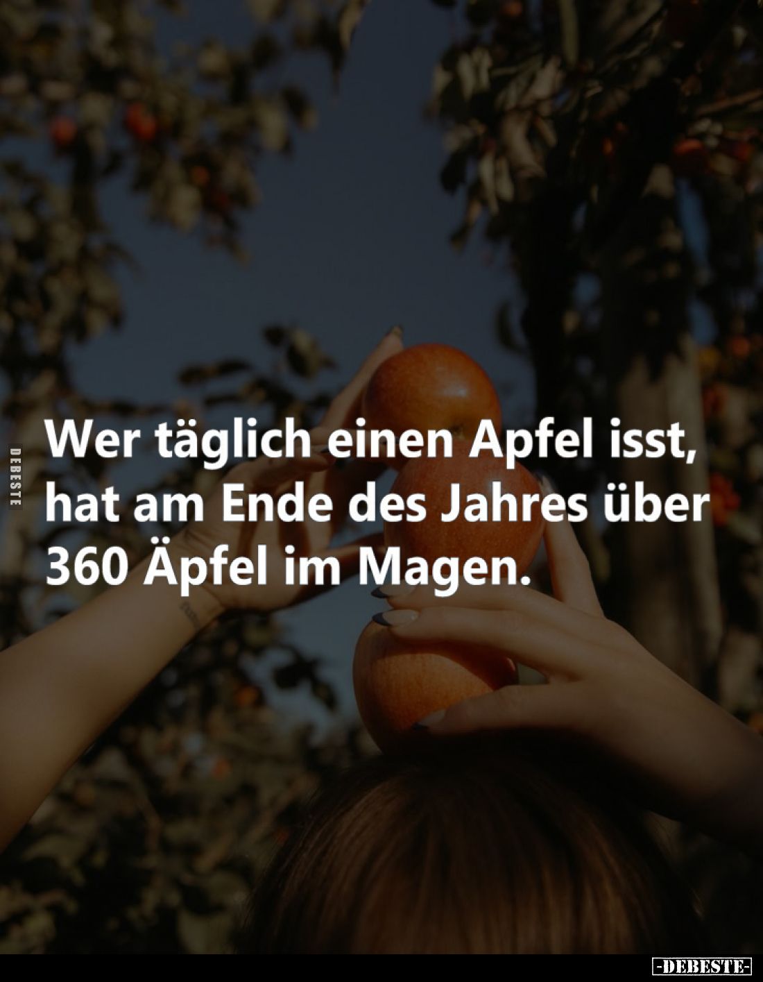 Wer täglich einen Apfel isst, hat am Ende des Jahres über 360 Äpfel im Magen.