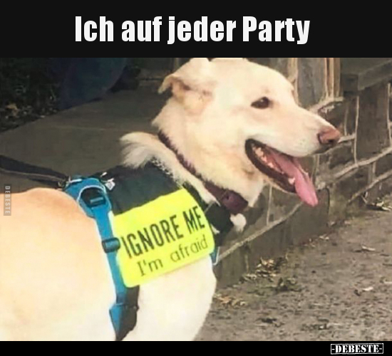 Ich auf jeder Party.. - Lustige Bilder | DEBESTE.de