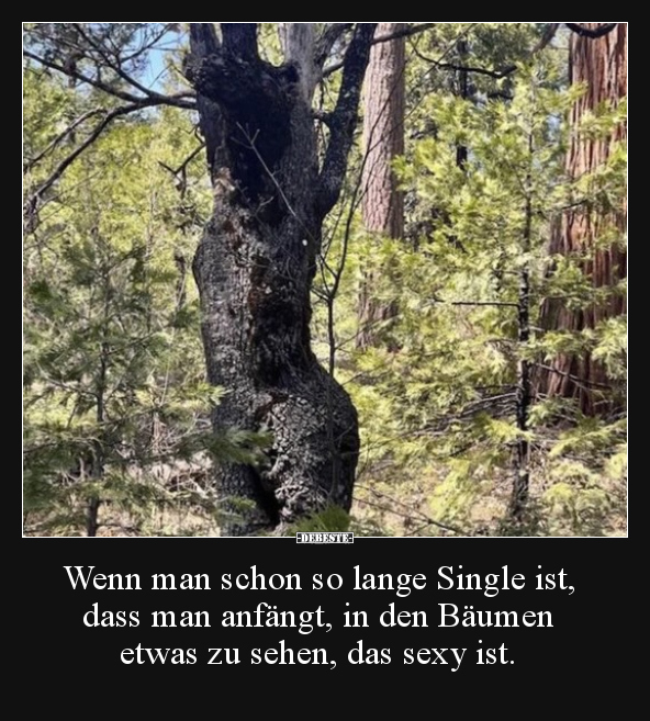 Wenn man schon so lange Single ist, dass man anfängt, in.. - Lustige Bilder | DEBESTE.de