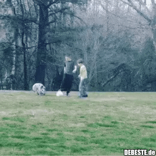  - Lustige Bilder | DEBESTE.de