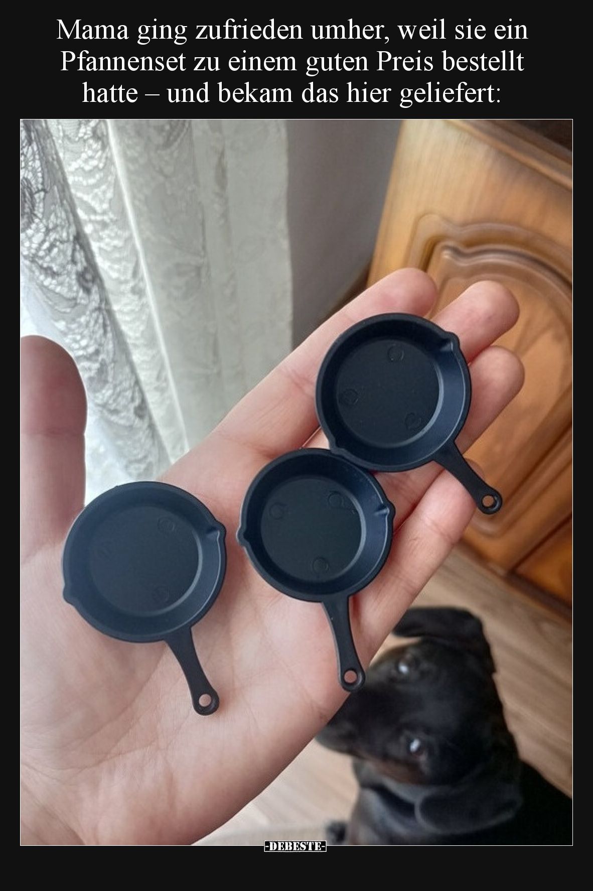 Mama ging zufrieden umher, weil sie ein Pfannenset zu einem guten Preis bestellt hatte – und bekam das hier geliefert: