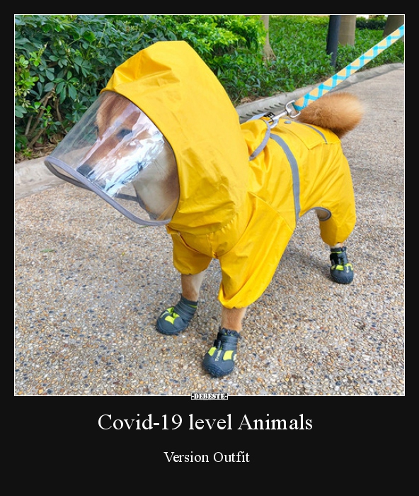 Covid-19 level Animals.. - Lustige Bilder | DEBESTE.de