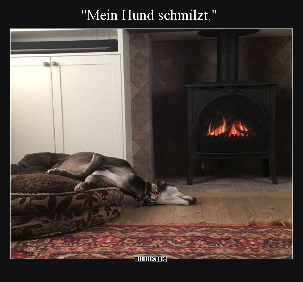 Mein Hund schmilzt.