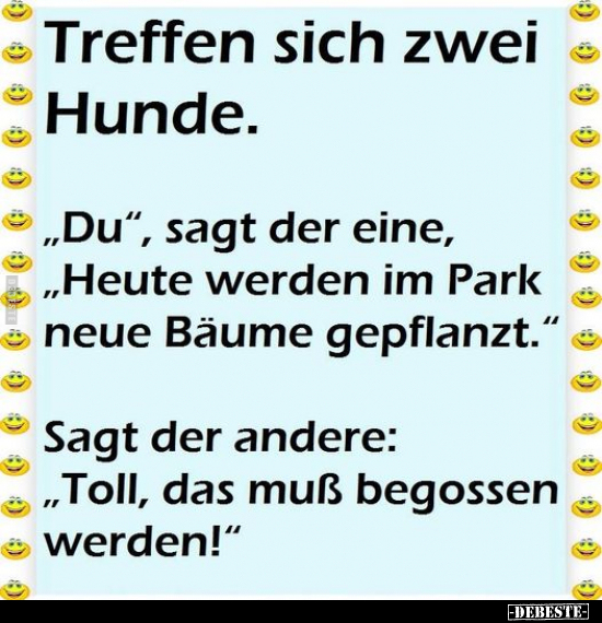 Treffen sich zwei Hunde. "Du", sagt der eine, "Heute werden.." - Lustige Bilder | DEBESTE.de