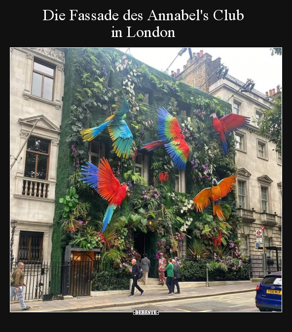 Die Fassade des Annabel's Club in London.. - Lustige Bilder | DEBESTE.de