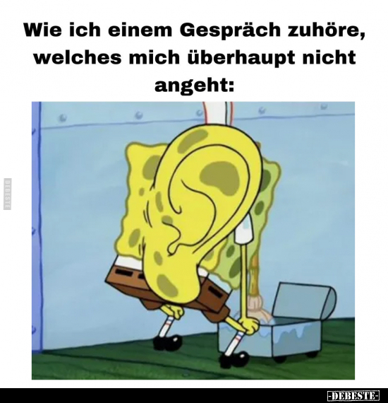 Wie ich einem Gespräch zuhöre.. - Lustige Bilder | DEBESTE.de