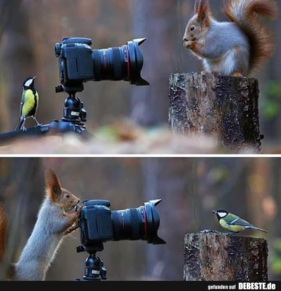 :) - Lustige Bilder | DEBESTE.de