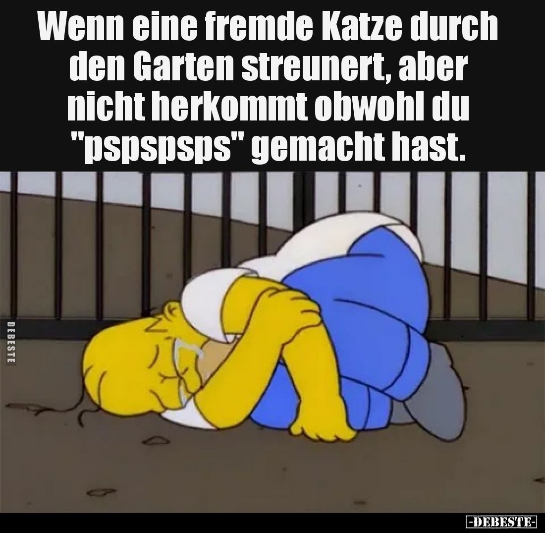 Wenn eine fremde Katze durch den Garten streunert, aber nicht herkommt obwohl du "pspspsps" gemacht hast.