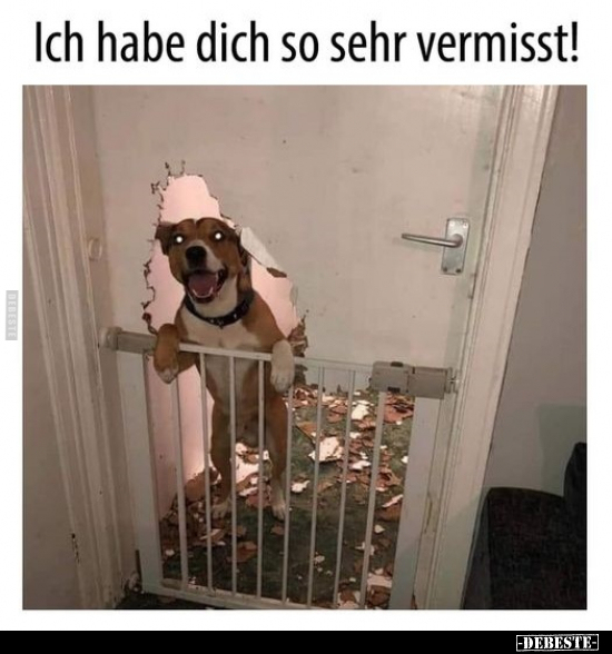 Ich habe dich so sehr vermisst!..