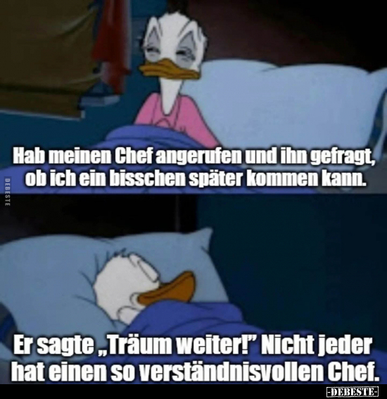 Hab meinen Chef angerufen und ihn gefragt.. - Lustige Bilder | DEBESTE.de