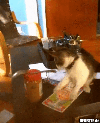 Schön im Kreis drehen..