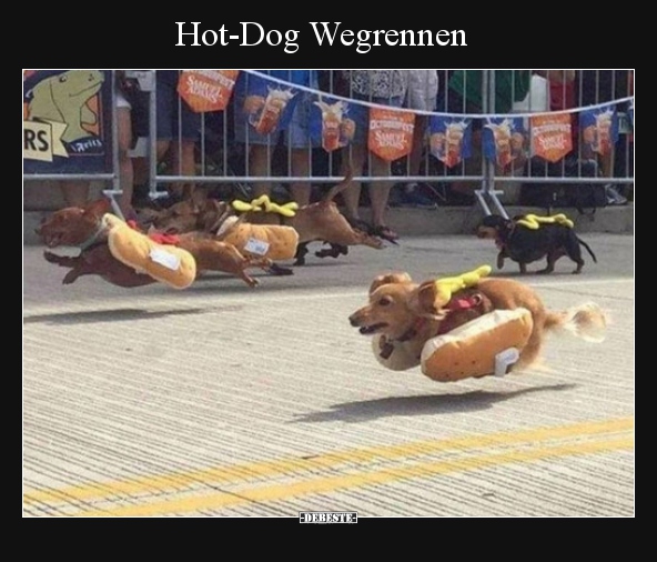 Hot-Dog Wegrennen.. - Lustige Bilder | DEBESTE.de